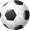 Sports Icon